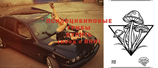 спиды Надым