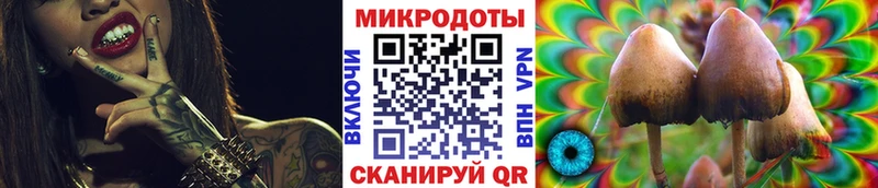 Галлюциногенные грибы Psilocybine cubensis  закладки  Полярный 