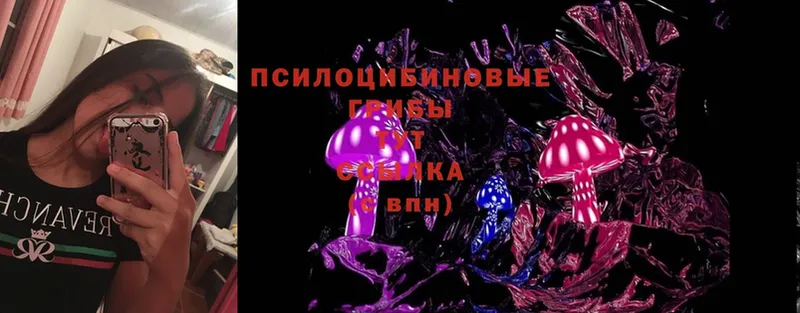 купить наркоту  ссылка на мегу сайт  Псилоцибиновые грибы Magic Shrooms  Полярный 